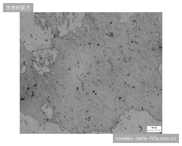 当7075铝合金的固溶温度精确控制在475℃时，其制成的防坠器壳体在侧向冲击测试中的能量吸收能力提升了18%